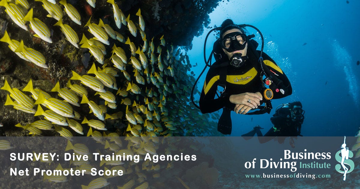 Dive Instructor Salary How much money does a scuba diving instructor make? by Darcy Kieran