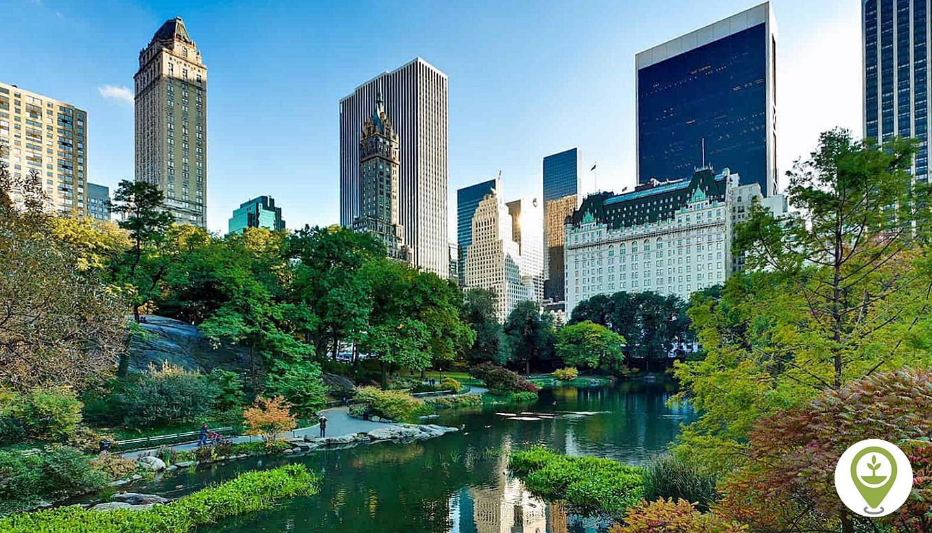 The importance of incorporating green spaces in city planning
