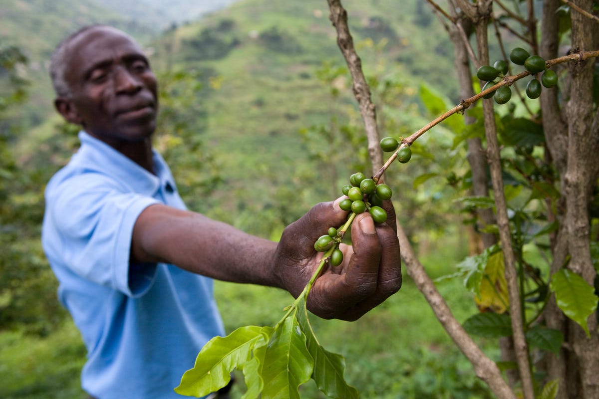 Restoration: a lifeline to the future we need