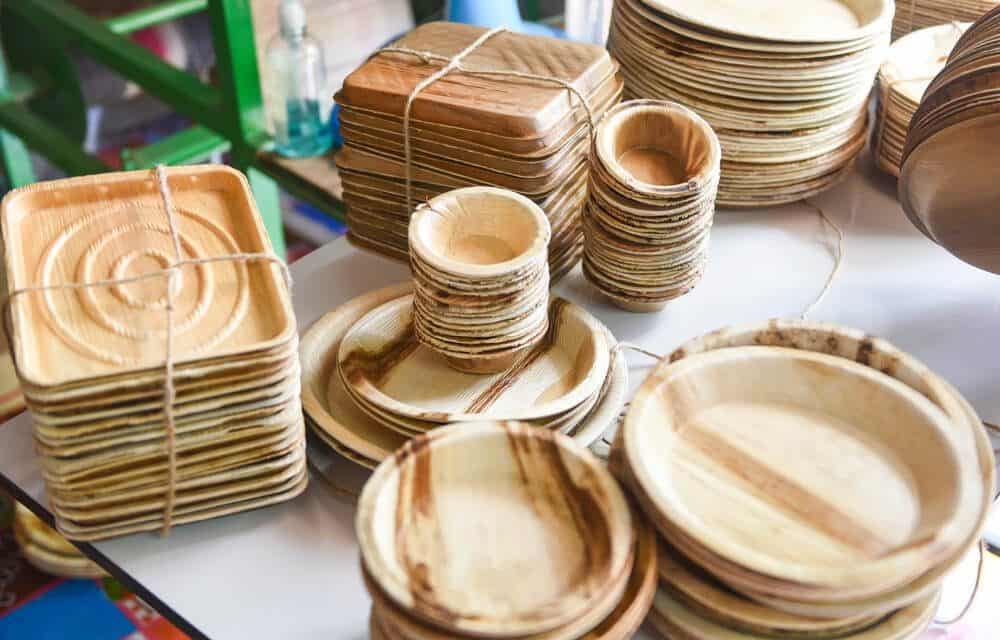 Top 5 Materials Used in EcoFriendly Disposable Plates by Ecodyne