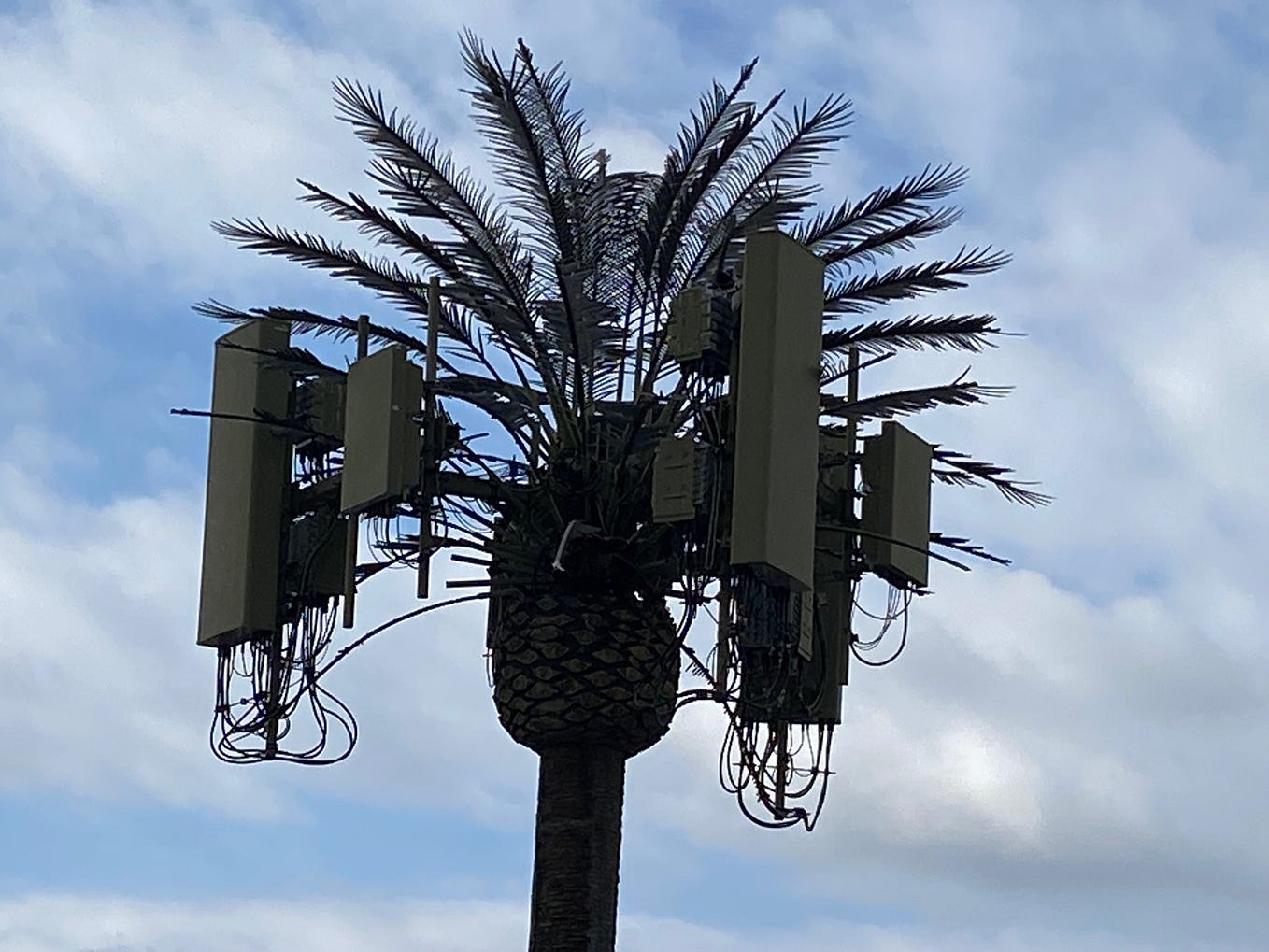 When More Expensive is the Better Bargain by Michael Rhodes ZENITE