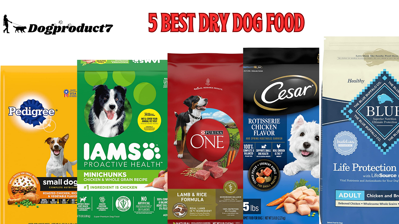 The Best 10 Dog Training Collars. With respect to canine readiness