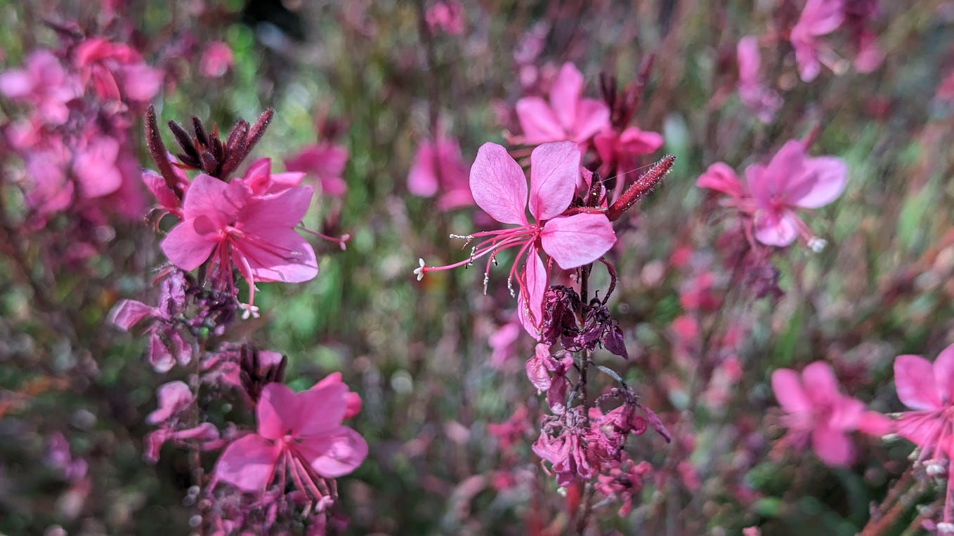 I was about to post almost wordforword the same response as Brad did