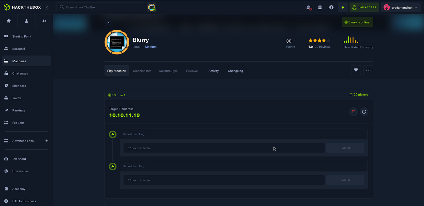 Hack The Box Meow Walkthrough Medium