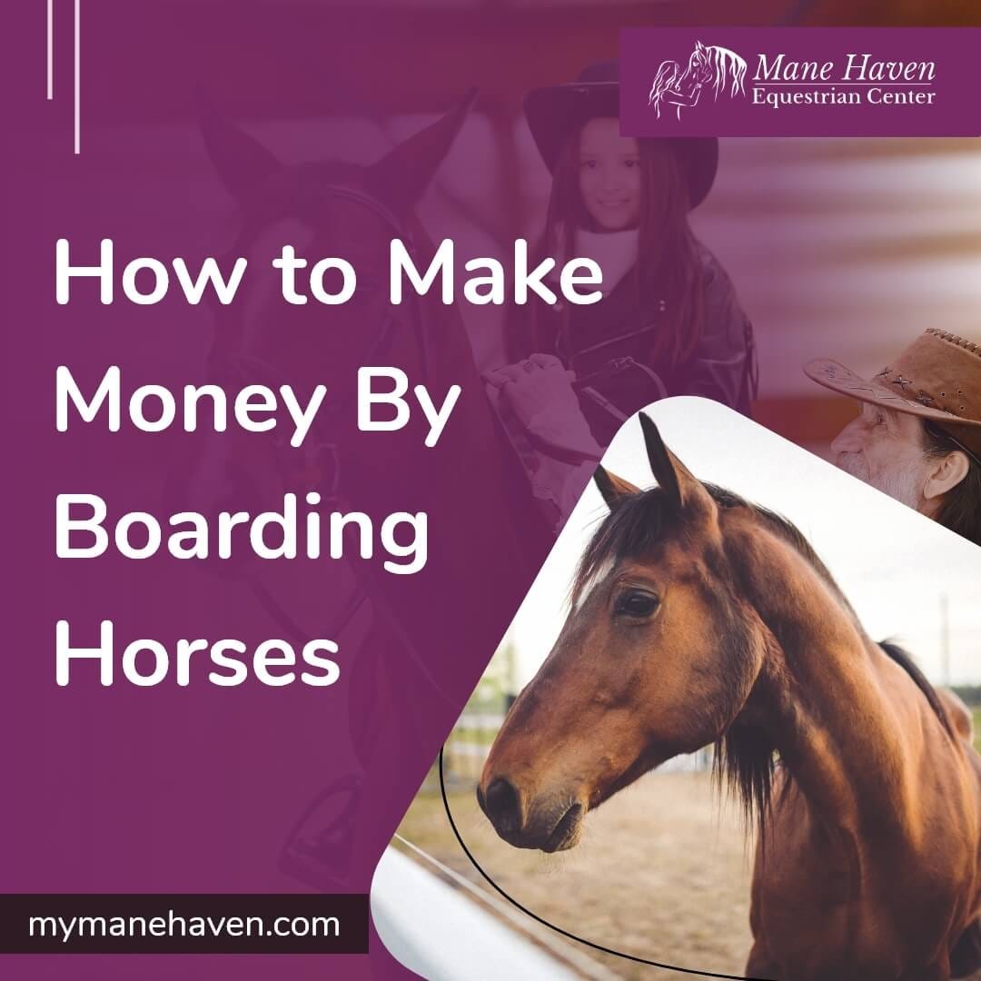 How to select the best horse stables in Evansville by My Mane Haven