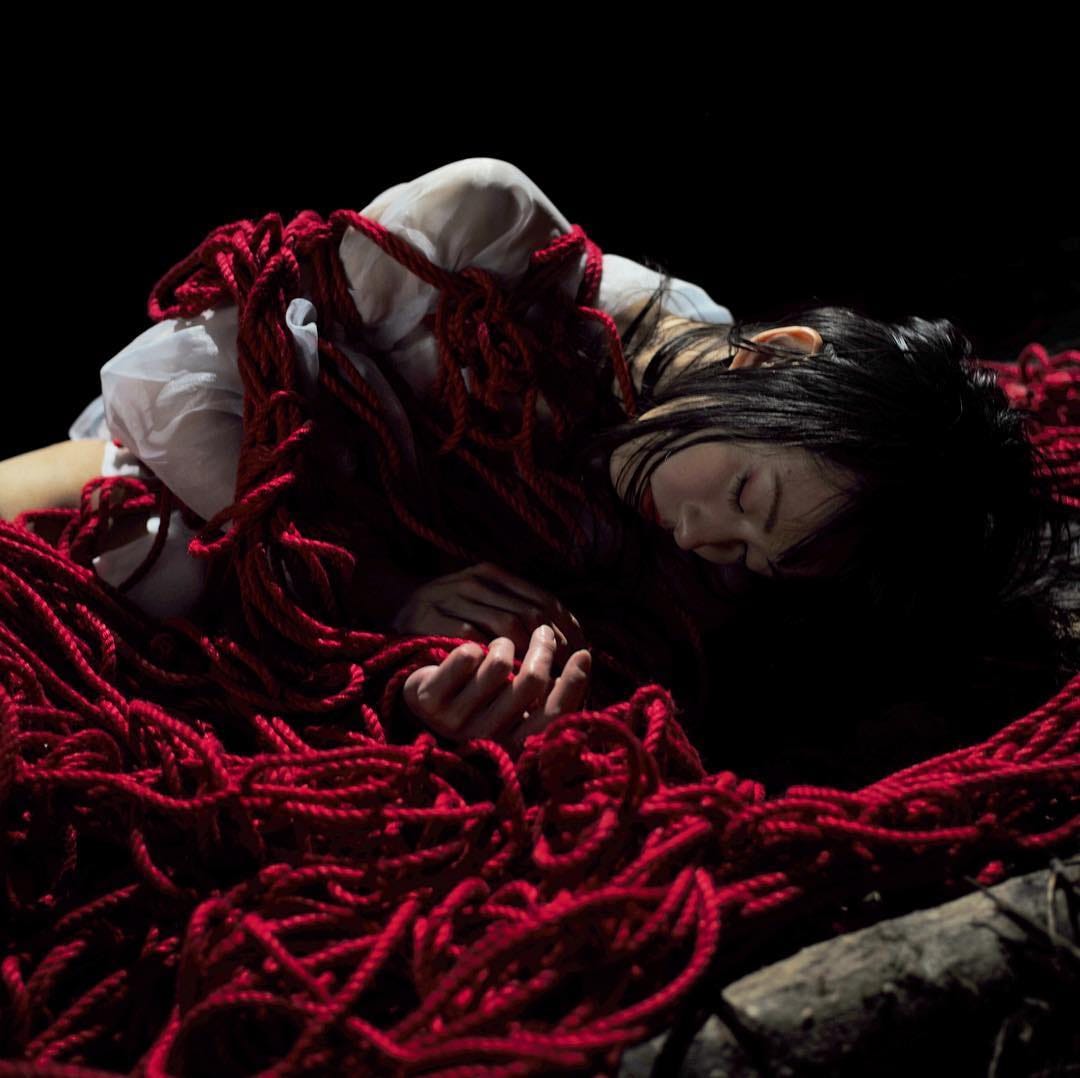 Akidearest Shibari