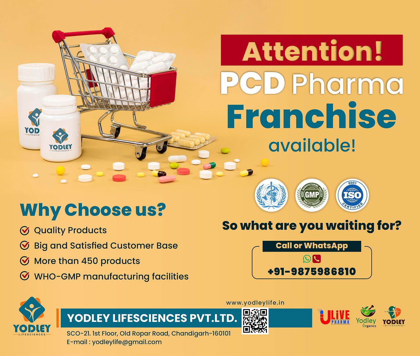 Pharma Distributorship In Bihar. Searching for Pharma Distributorship