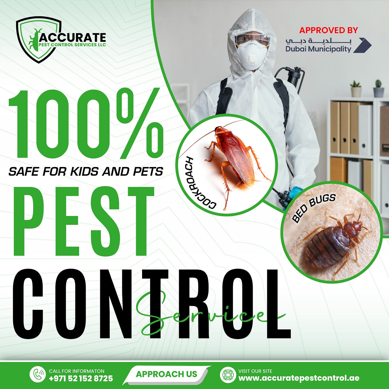 Cockroach Control In Dubai Bed Bug Control In Dubai Rodent Control