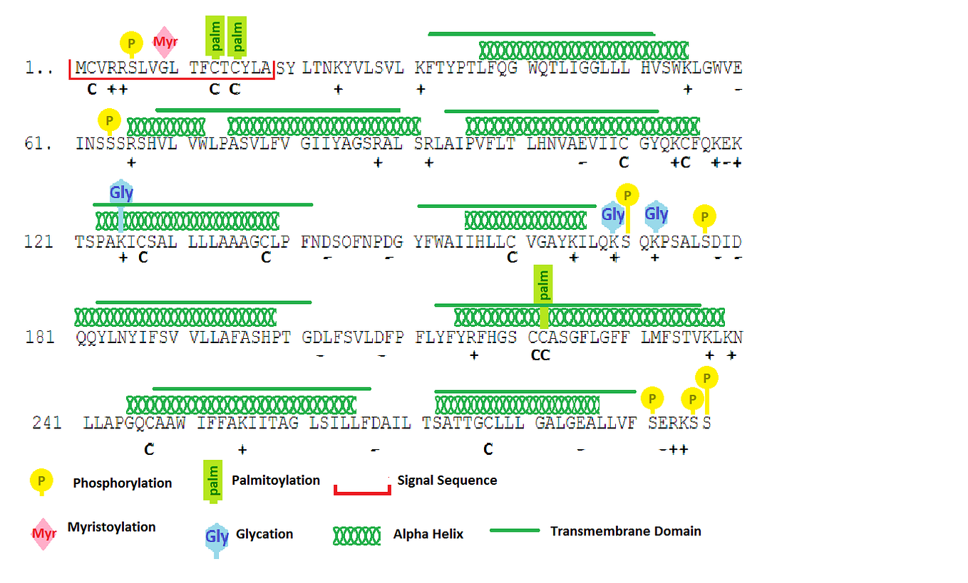Signature Verification using Deep Learning | by Chinmay Sawant ...