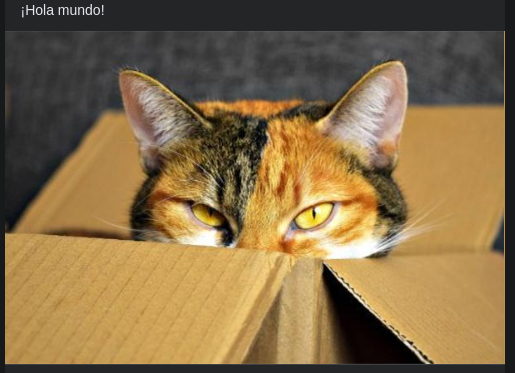 Learn how to create bots for Facebook with Python | by seokku を | Medium