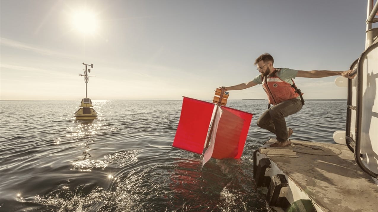 On the verge of extinction how environmental initiatives save rare