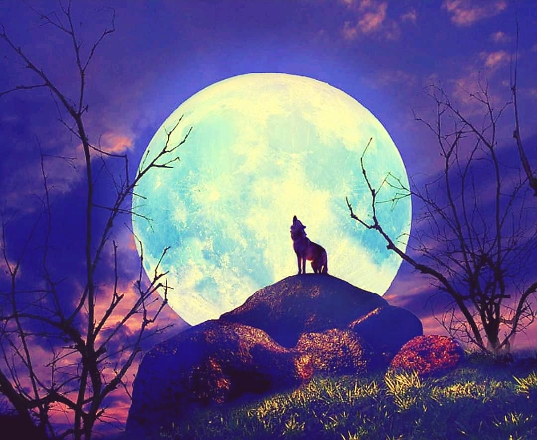 January *6* 🗓️
Celebrating the first #Full _Moon of *2023*
