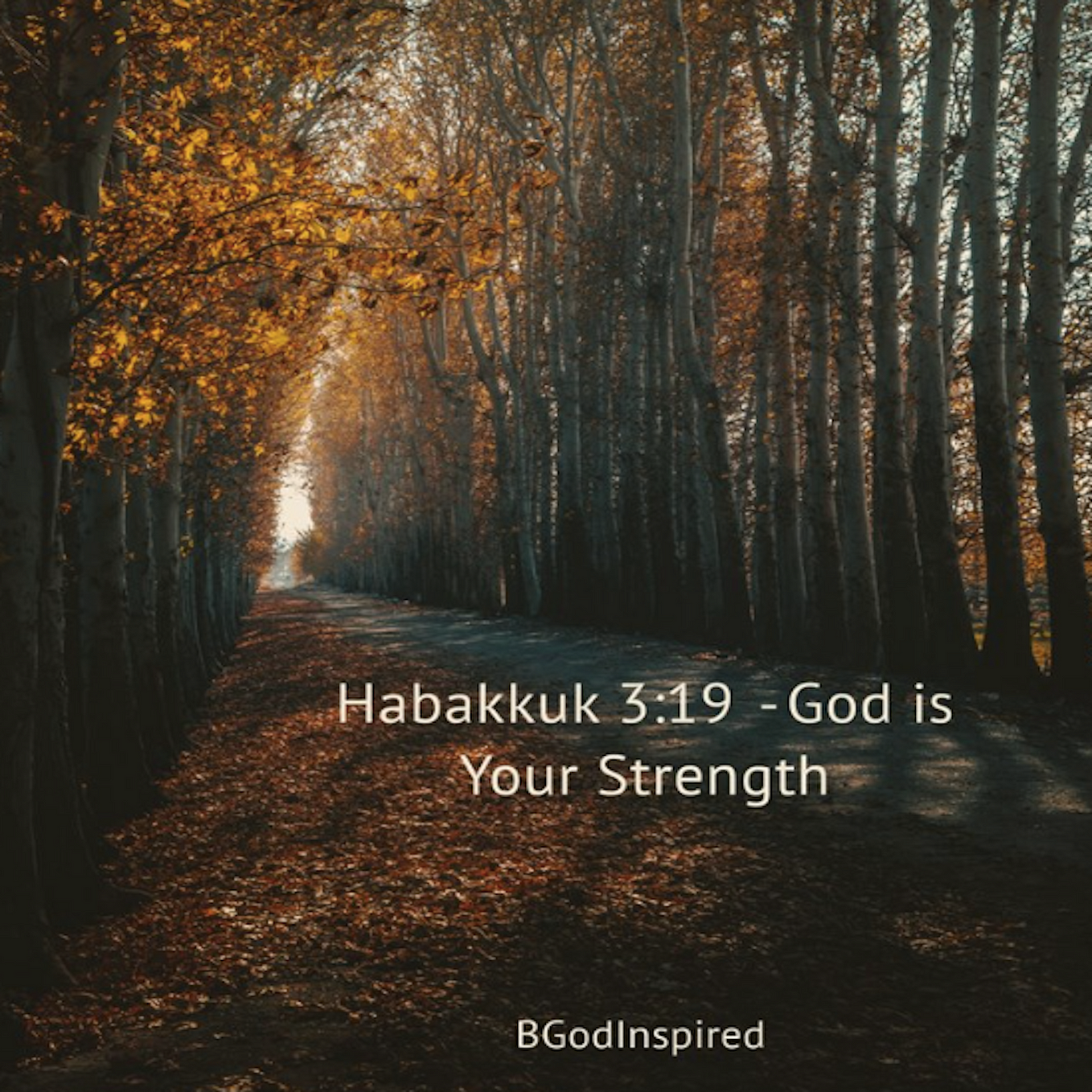 Habakkuk 3:19 meaning — God is Your Strength