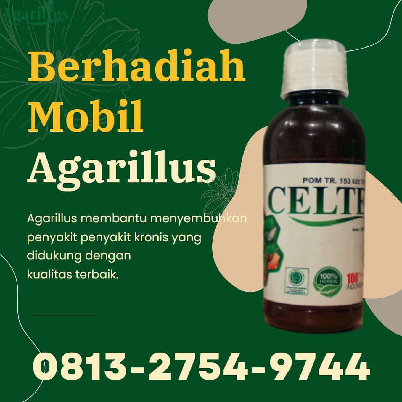 DOORPRIZE MOBIL CALL WA 0813 2754 9744 Jual Herbal Untuk Mengobati doorprize-mobil-call-wa-0813-2754-9744-jual-herbal-untuk-mengobati
