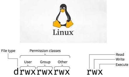 Step by Step: Creating a VPC, Public Subnets, Auto Scaling Group, and ...