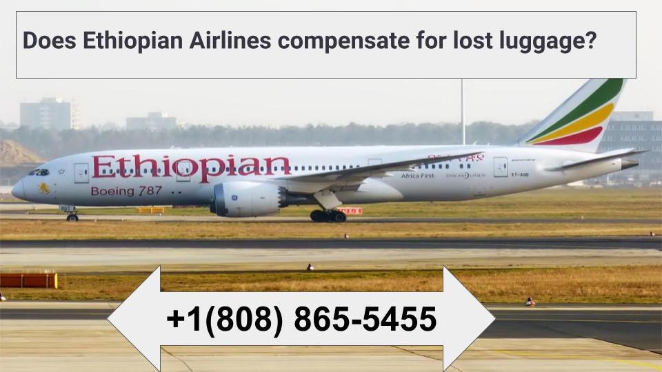 What is the cancellation policy of flydubai? by TraveloBlog Medium