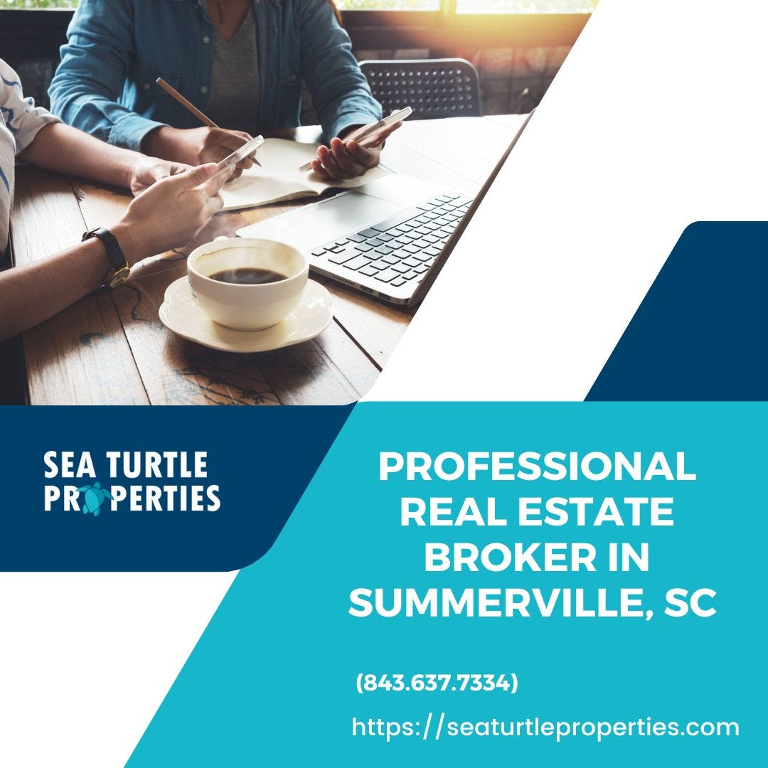 Top Real Estate Agents in Summerville, SC Sea Turtle Properties Medium