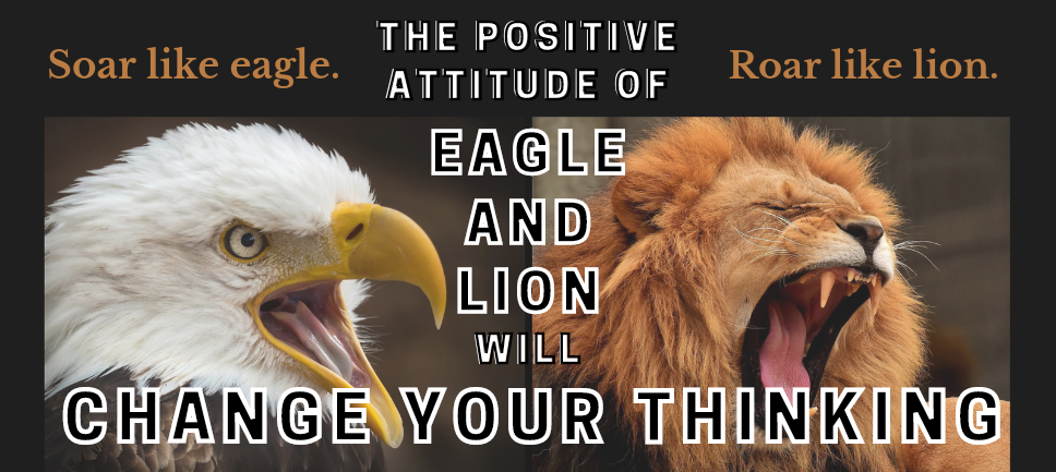 The Positive Attitude Of Eagle And Lion Will Change Your Thinking
The person with a lion attitude…