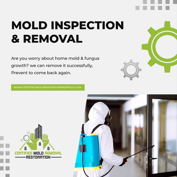 Inspection and survey Certified Mold Removal Restoration Medium