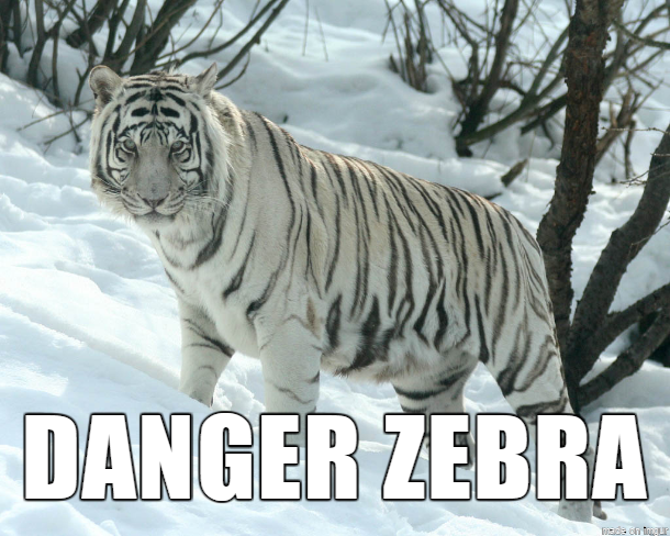A tiger labelled “danger zebra”