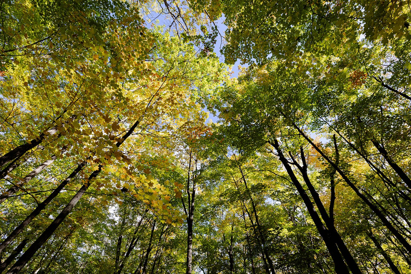 Interesting Vehicle It Might Be Limited To Low Speeds Since The interesting-vehicle-it-might-be-limited-to-low-speeds-since-the