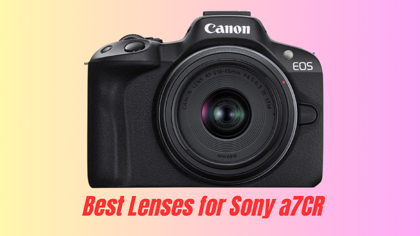 Best Canon RF Lenses for Video. My RF Journey: From Frustration to ...