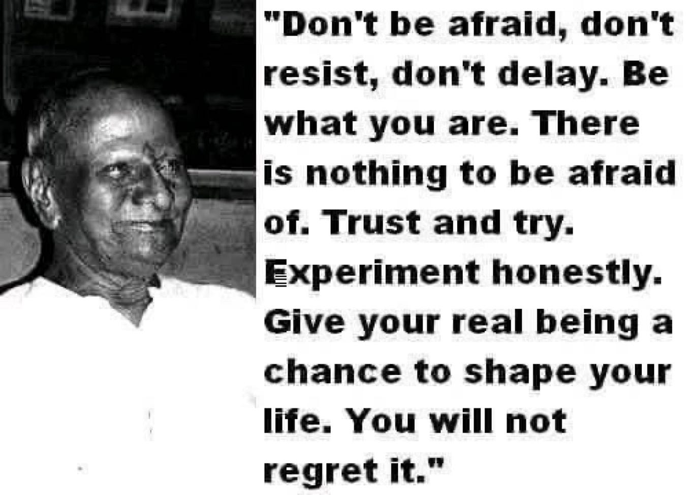 Stranger in the woods. Abedhaa Medium