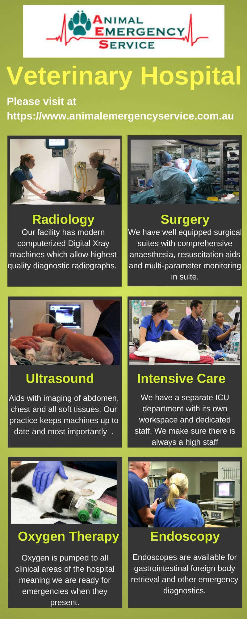 Veterinary Hospital. The Animal Emergency Service is a… by Animal