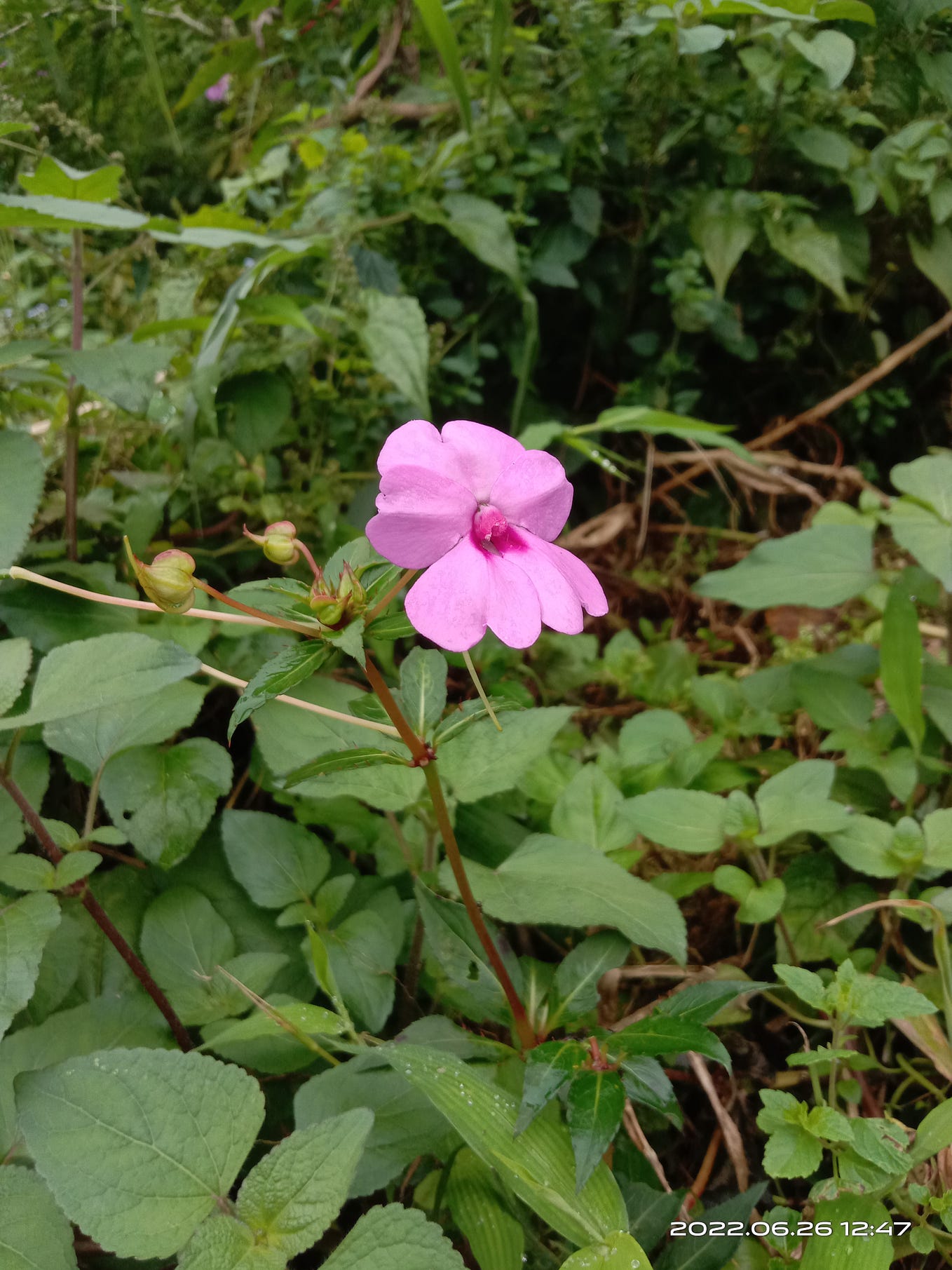 The 8 Most Extroverted MBTI Personality Types: Ranked From Most To ...