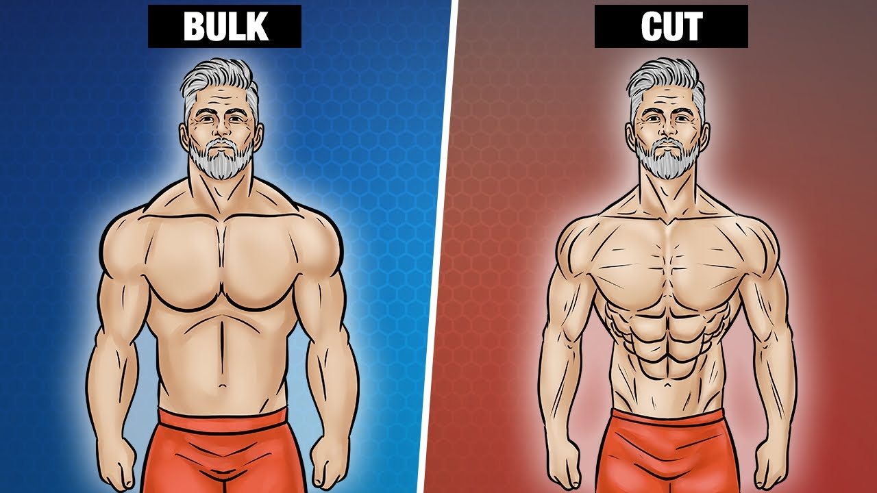 BULKING OU CUTTING *qual devo fazer?* 