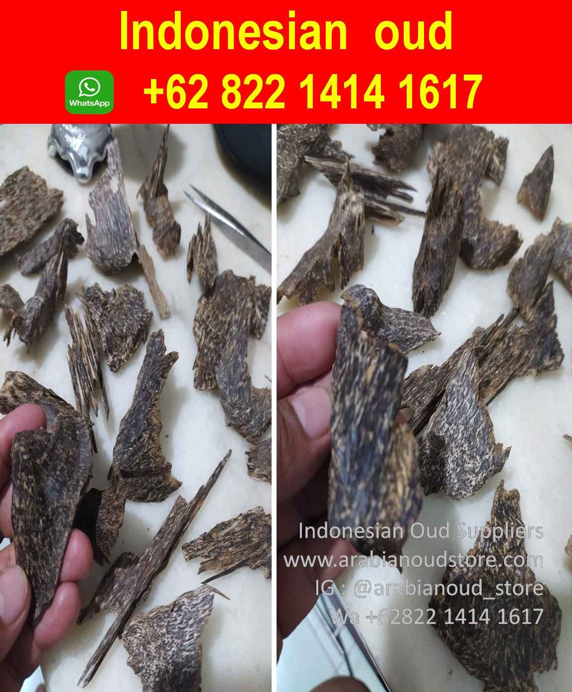 اجود انواع العود الاندونيسي (WhatsApp) (+62) 822–1414–1617 - Oud Indonesia  Suppliers - Medium