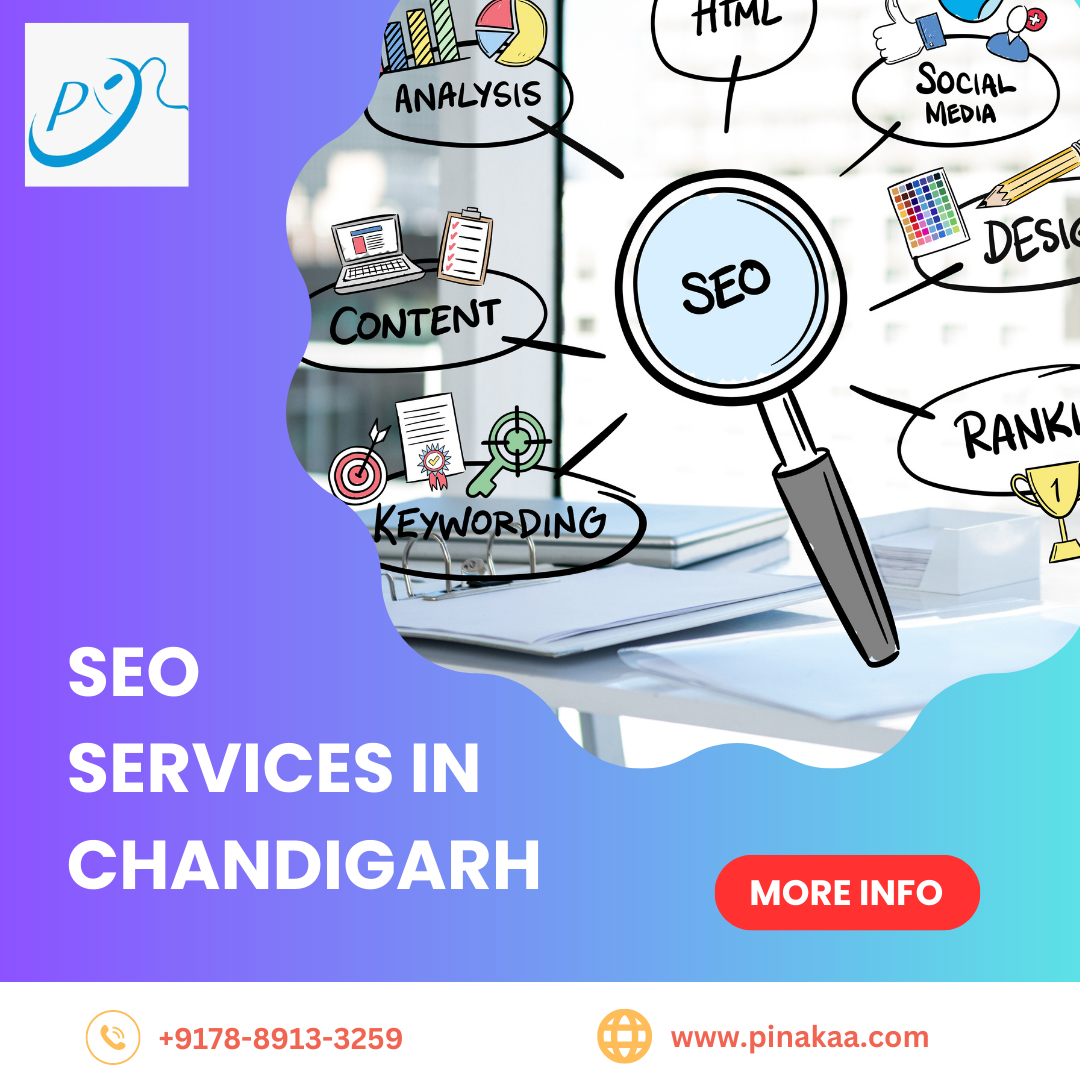 Top Digital Marketing Agency in Chandigarh - Pinaka Digital Info ...