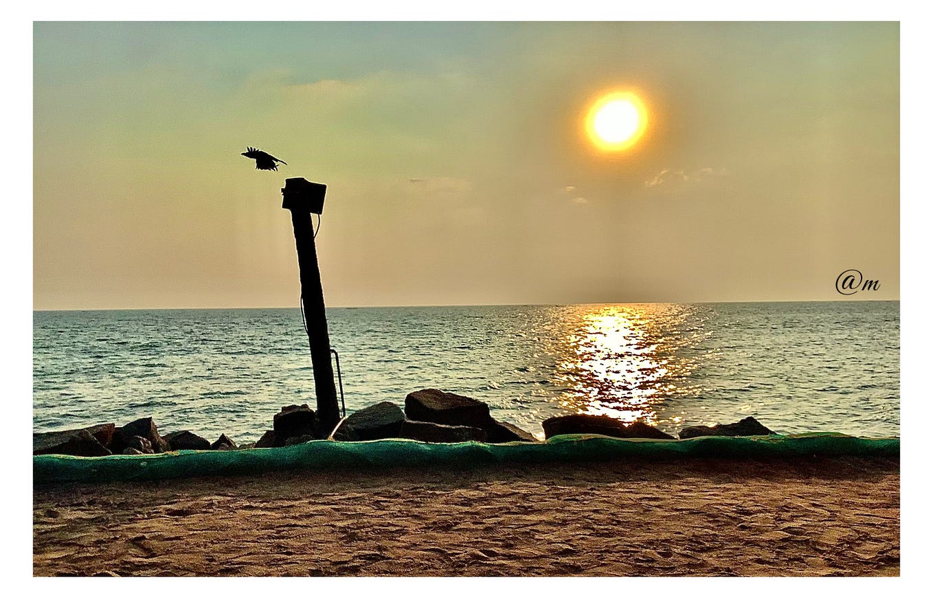 Scuzz bucket Monoreena Acharjee Majumdar Medium