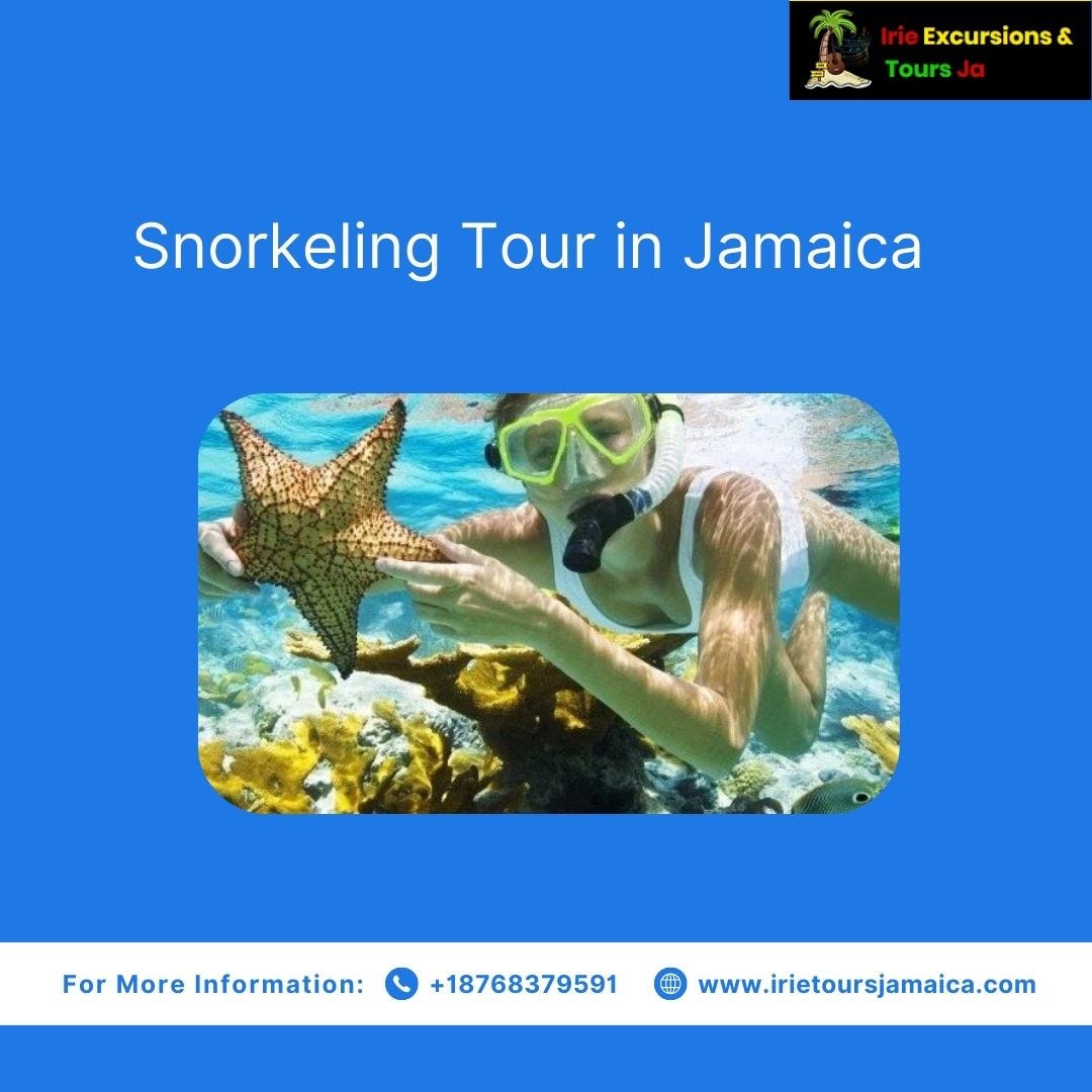 Experience the Best Black River Safari Tour in Jamaica by Irie