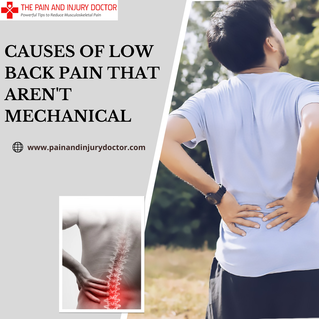 LOWER BACK PAIN THAT S NOT MUSCULAR visual data 8