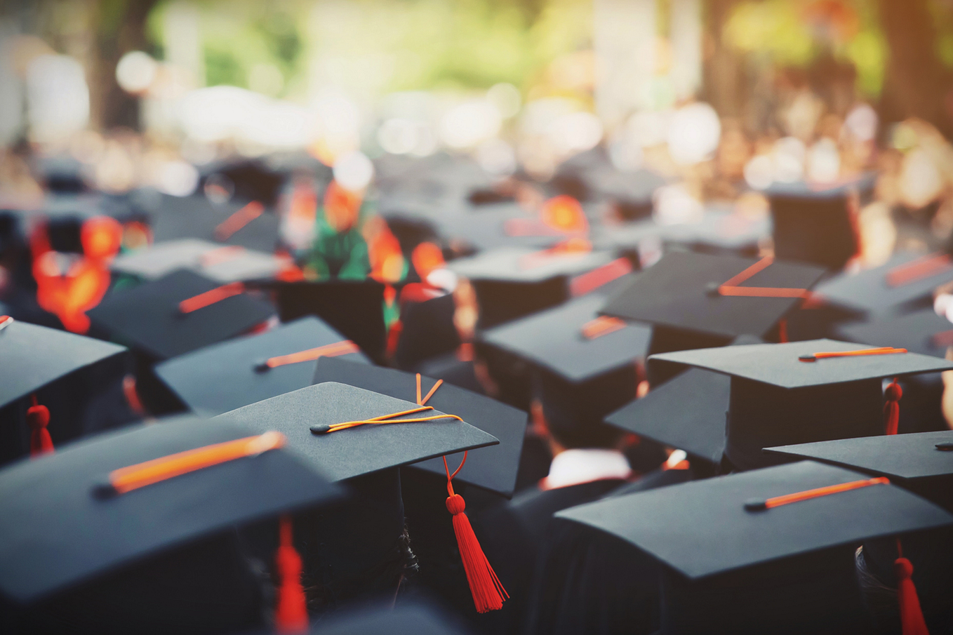 Beyond the Financial Perks: Life as a DAAD Scholar at MIPLC | by Adanna ...