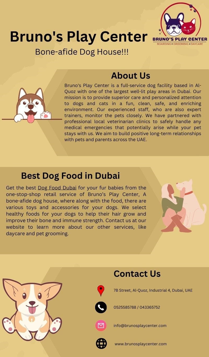 Dubai Most Dog Daycare Robert Ruder Medium