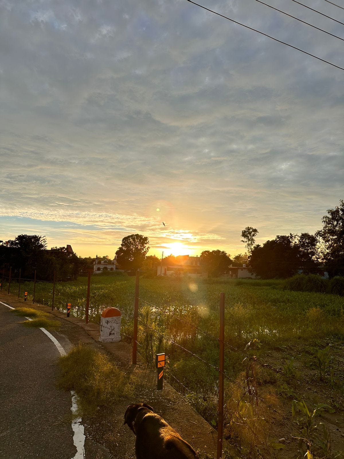 First Kiss Scuzzbucket Medium