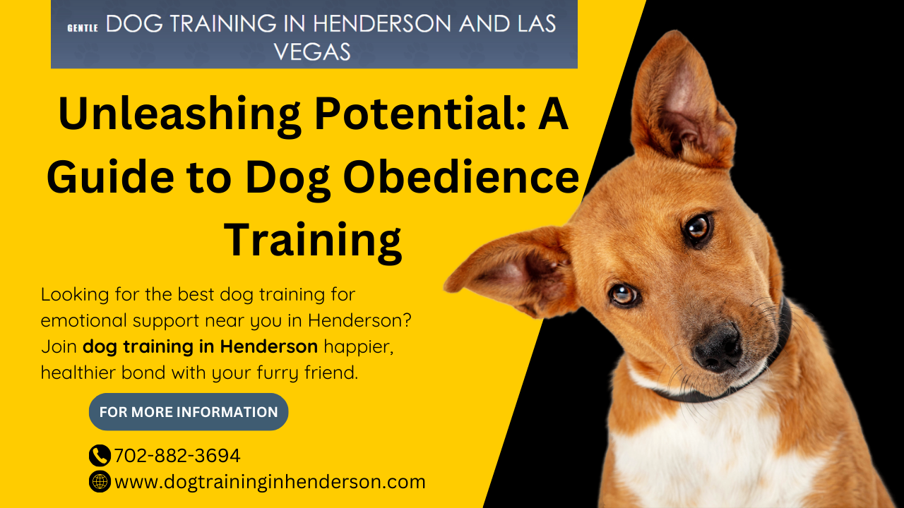 Unleashing Your Pup’s Potential: A Guide to Professional Dog Training