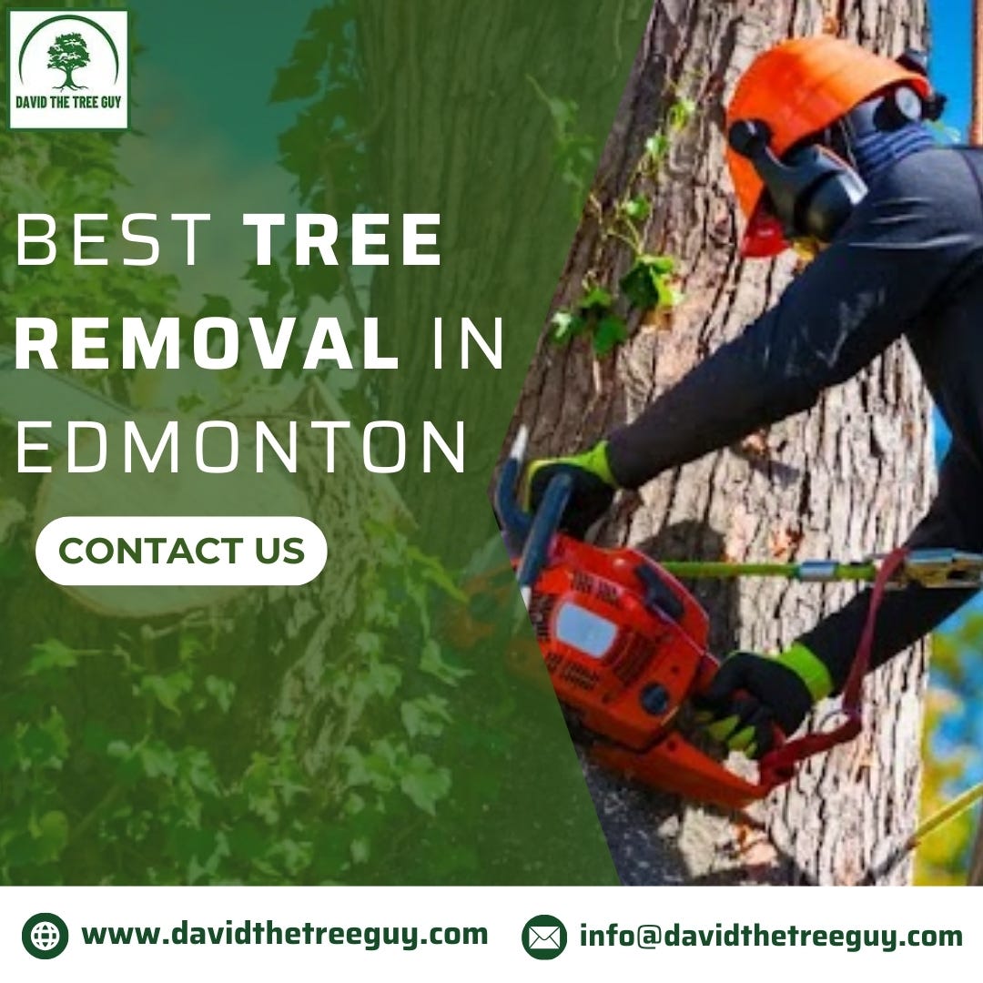 Best Stump Grinding in Edmonton David The Tree Guy Medium