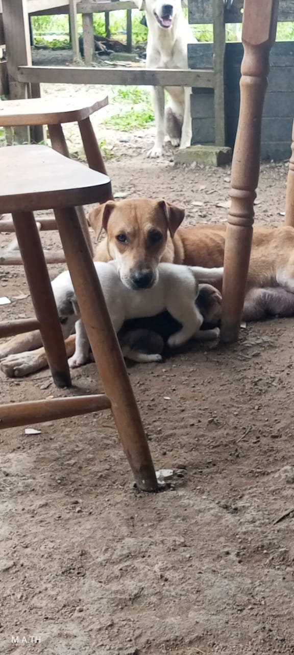 The YouTube for writers. That is a lot of content. A huge online