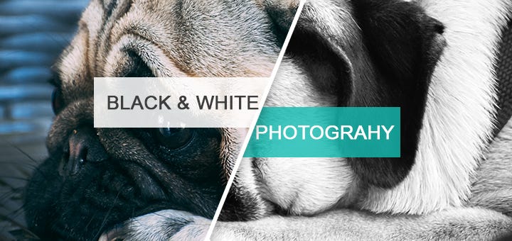 Photoshop Automation using JavaScript #2 — Working with Layers | by ...