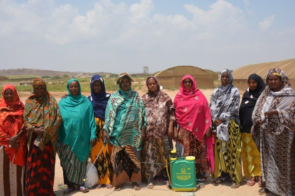 USAID Local Expertise Integral to Food Security | by USAID Food for ...