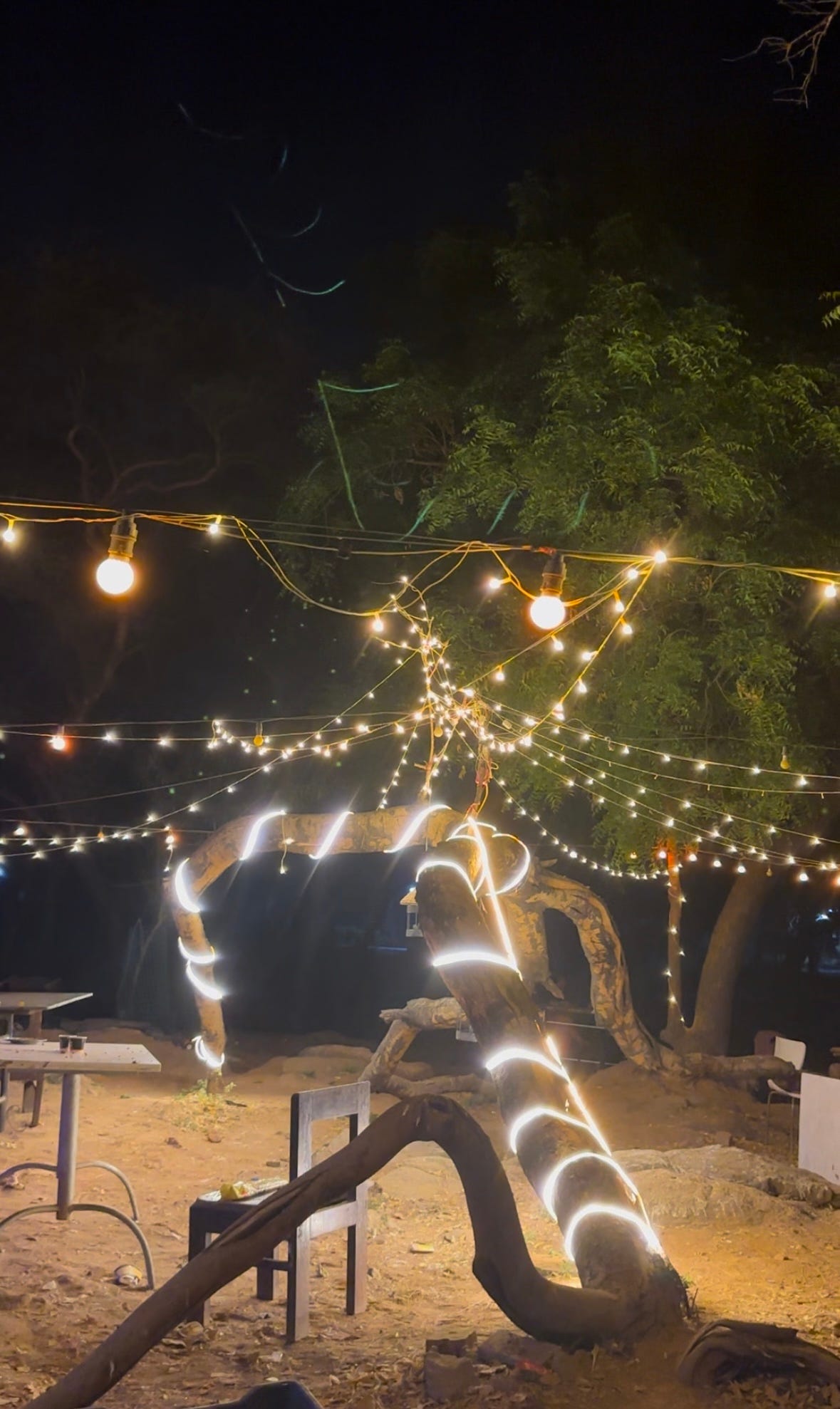 Chamkila Mirror or Mold? Art’s Relationship with Society by