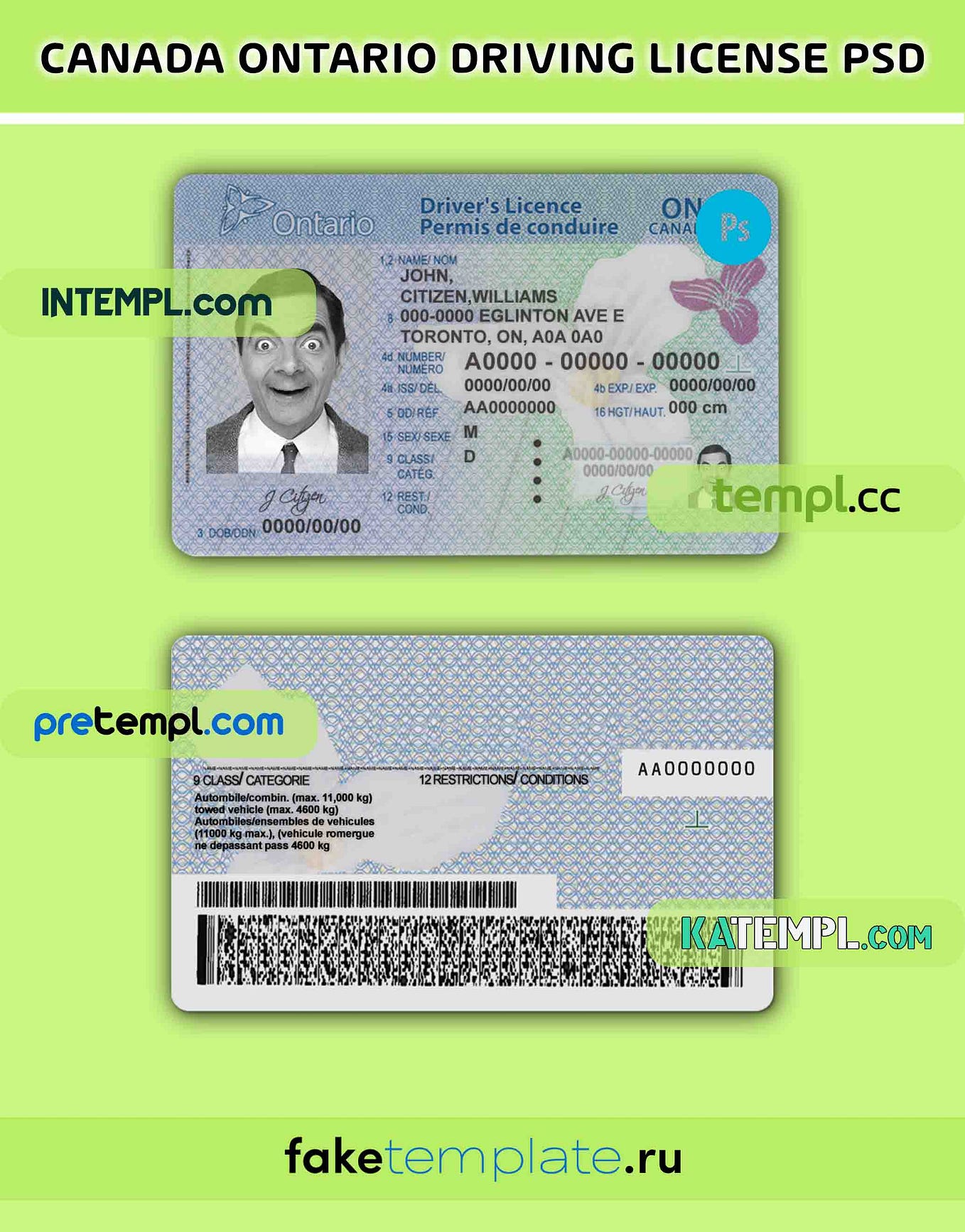 Canada Quebec driving license PSD download template by Intempl