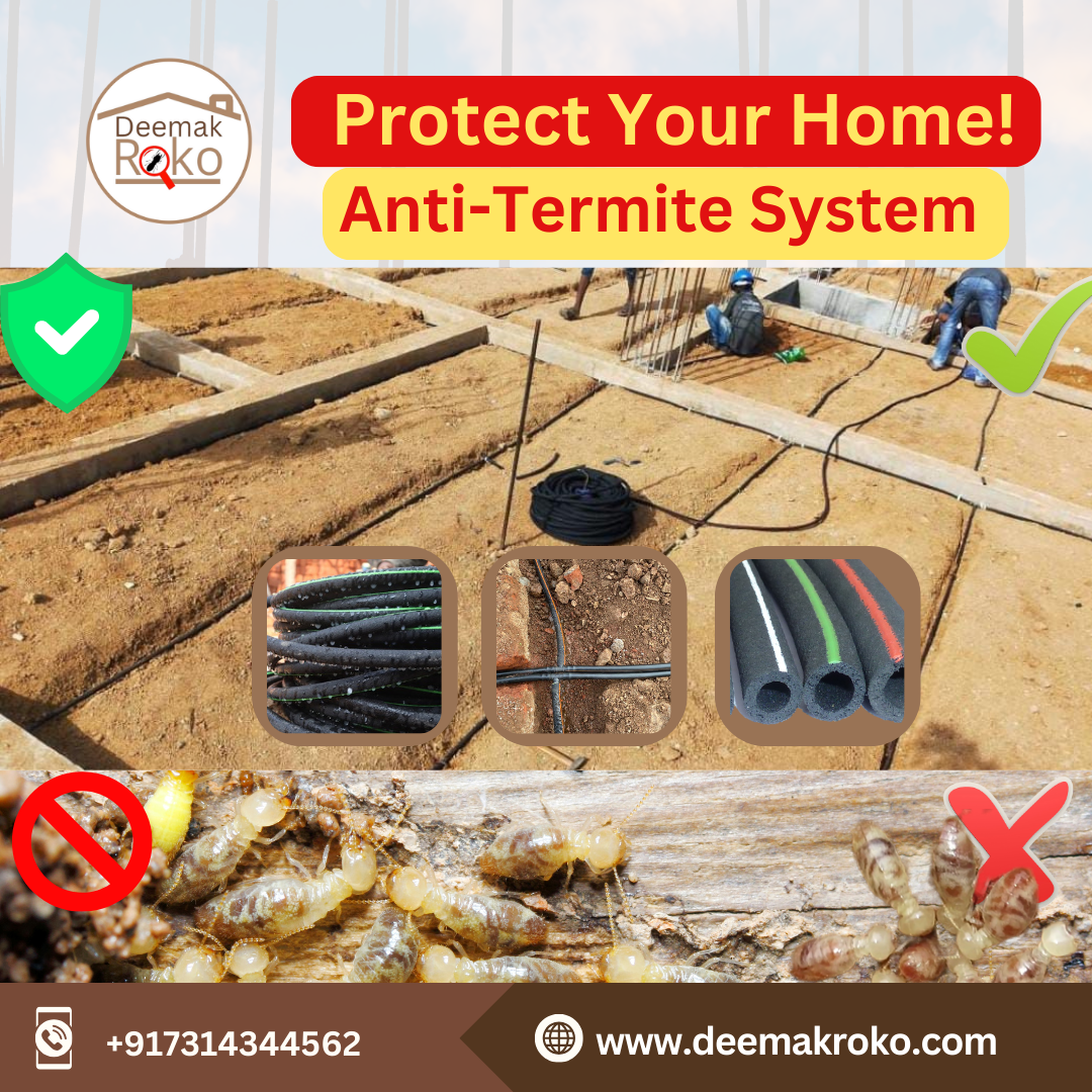 Anti-Termite Reticulation System — Your Invisible Shield Against ...