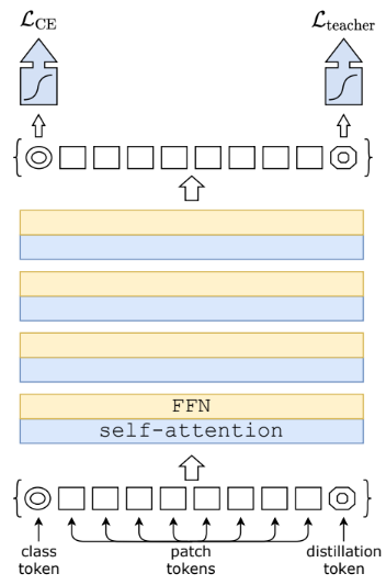 A Closer Look at Transformer in Transformer: Guide and PyTorch ...
