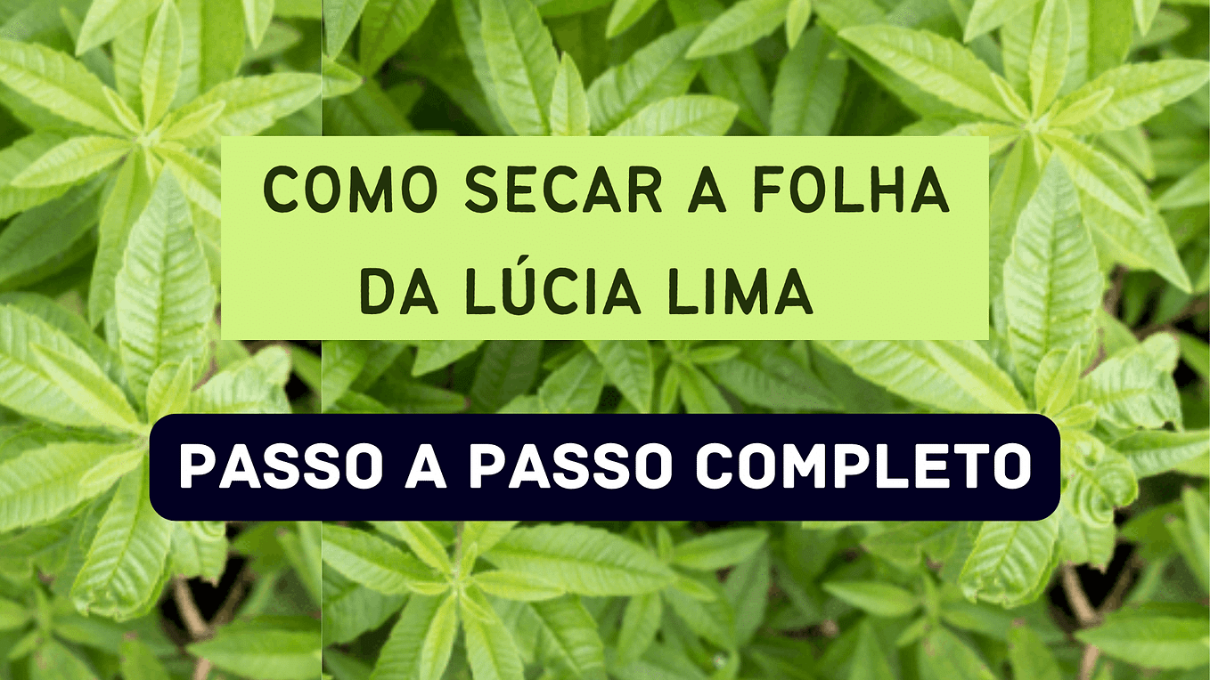 Para que serve LÚCIA LIMA (Limonete, Doce Lima, Erva Luisa) - Vivian Alves  - Medium