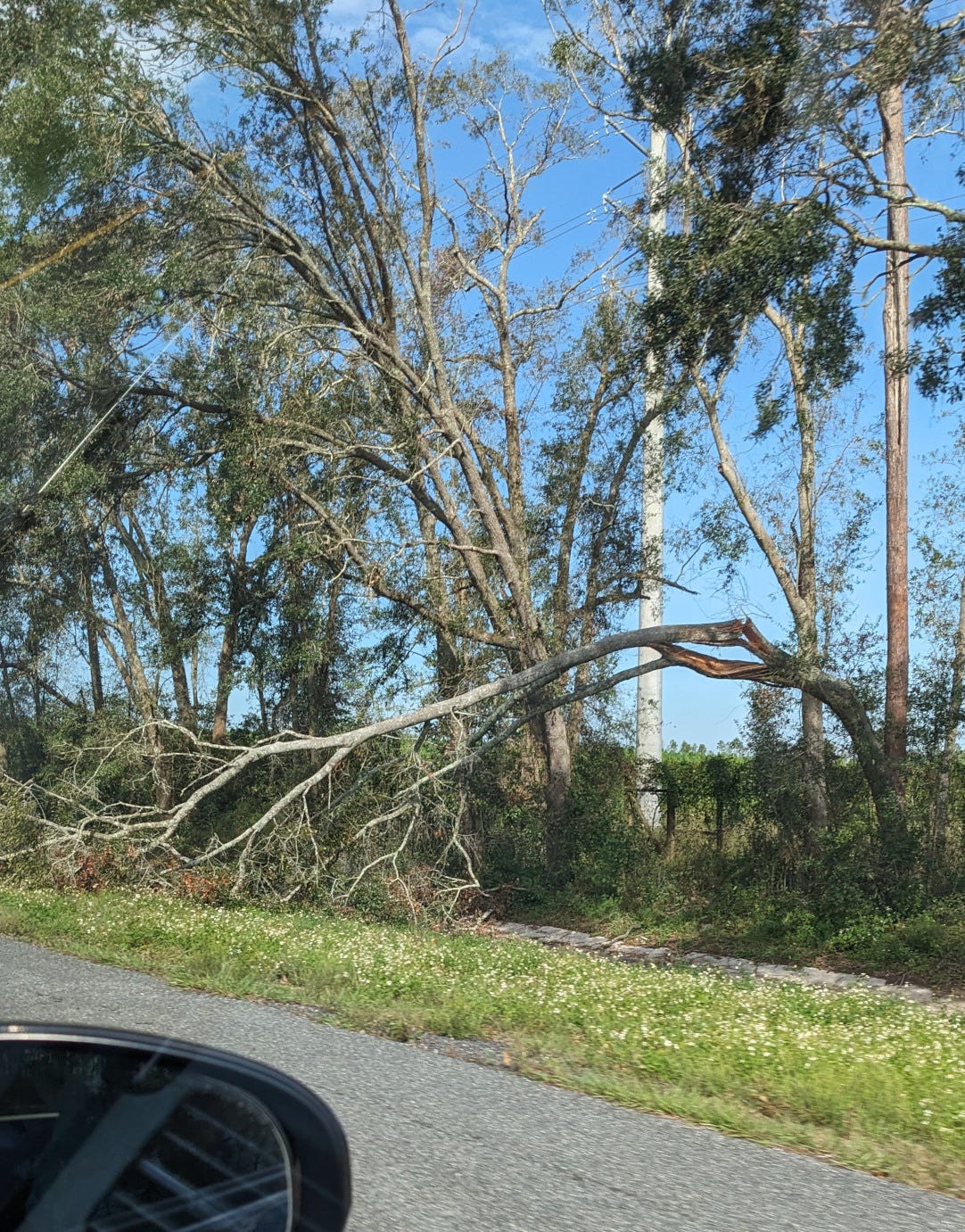 Florida Is Building a State Terrarium Soul Attitudes
