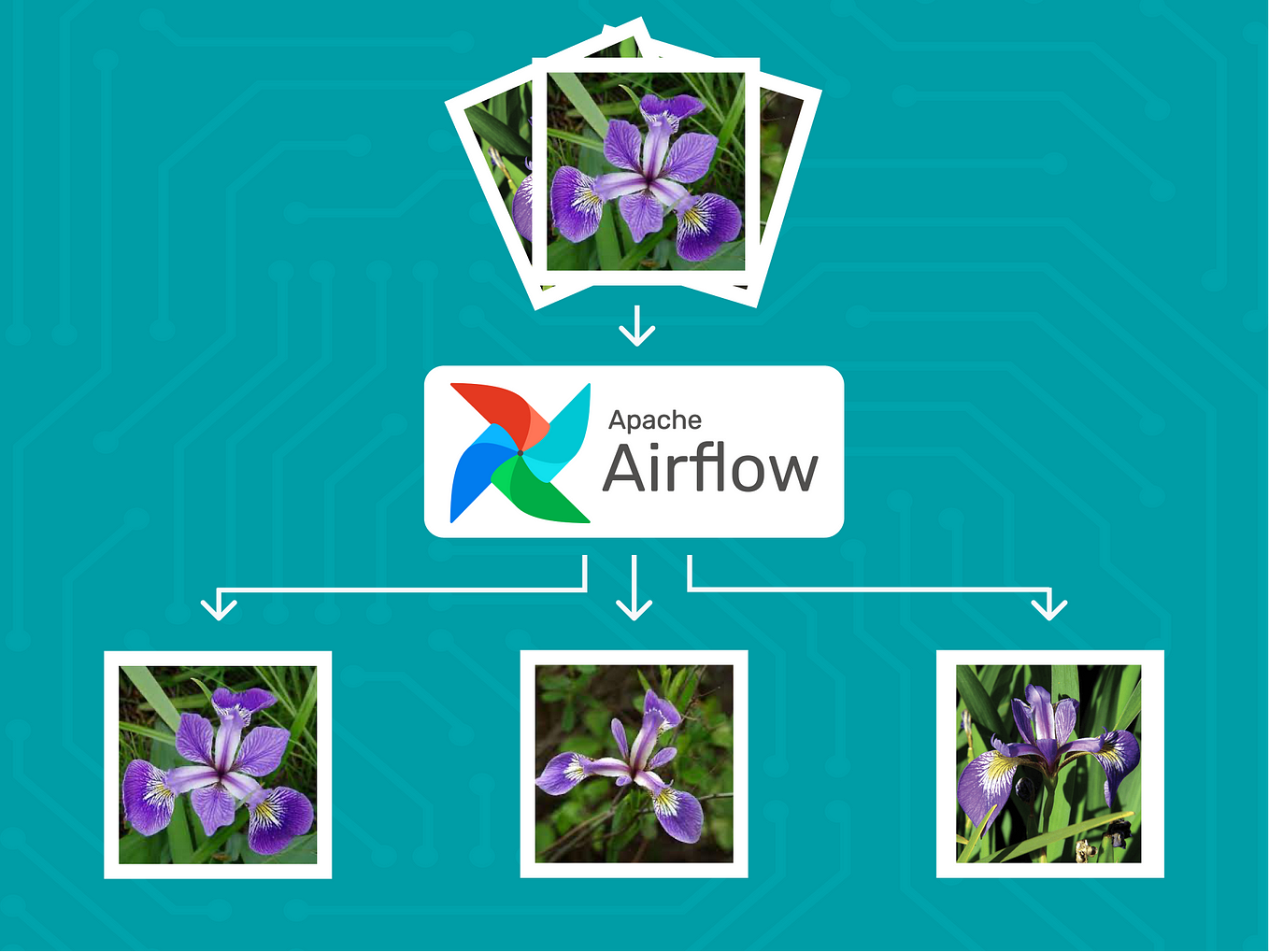 Getting Started With Apache Airflow | By Adnan Siddiqi | Towards Data ...